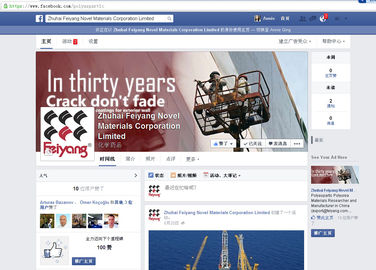 중국 Zhuhai Feiyang Novel Materials Corporation 한정된 Facebook 페이지 협력 업체